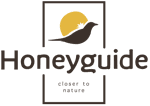 Merchant Logo